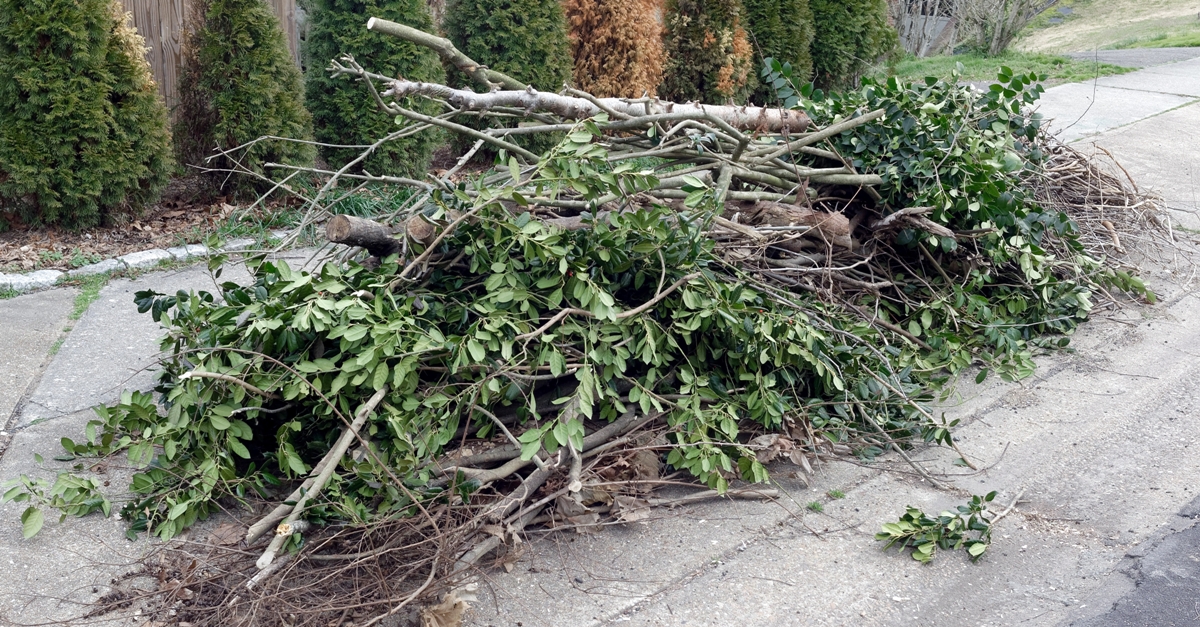 Hauling yard debris