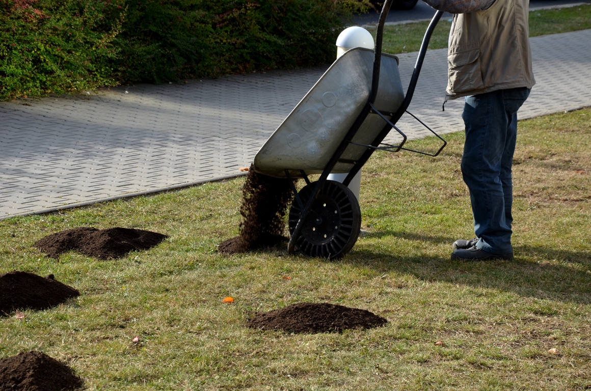 Top Dressing