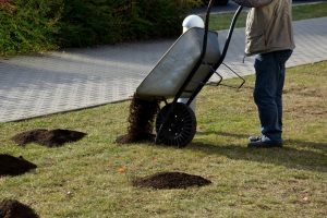 Top Dressing