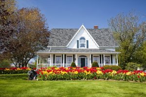 Landscaping Maintenance